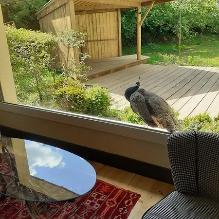 Apartmán Familial Le Petit *