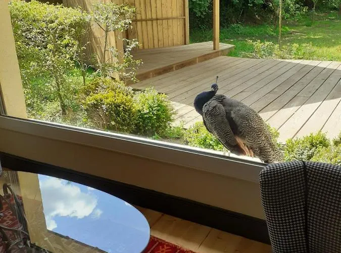 Apartment Familial Le Petit *